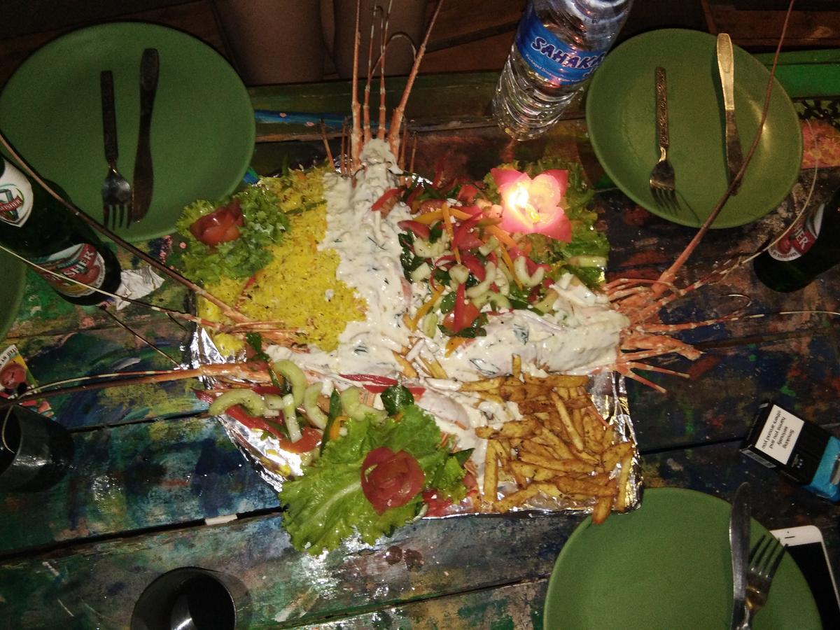 Rasta Mansion Beach Hostel And Rooms Arambol Ngoại thất bức ảnh